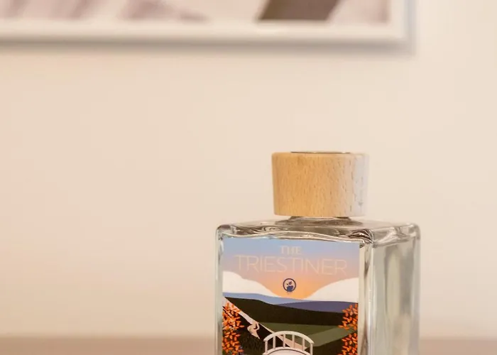 Eve Collection - Center Apartment *